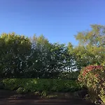 Kajuete Wees